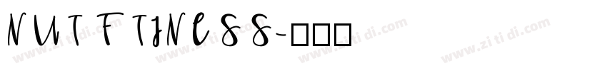 NUT FTINESS字体转换